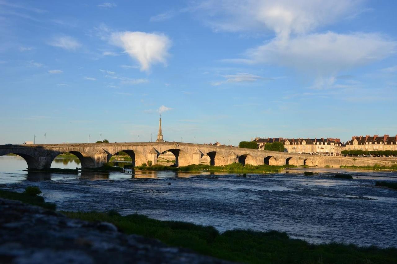 Quartier Historique Studio Tout Confort Blois Esterno foto