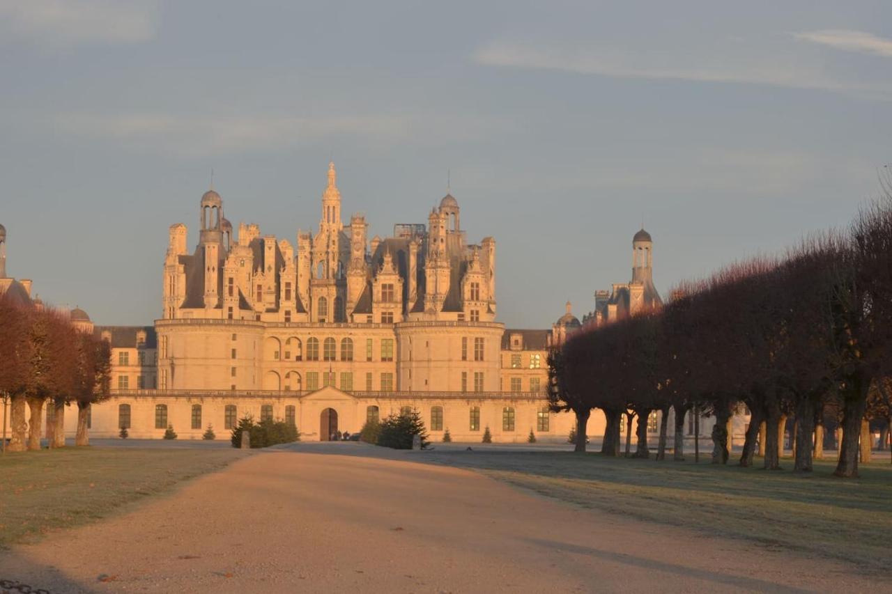 Appartamento Quartier Historique Studio Tout Confort Blois Esterno foto